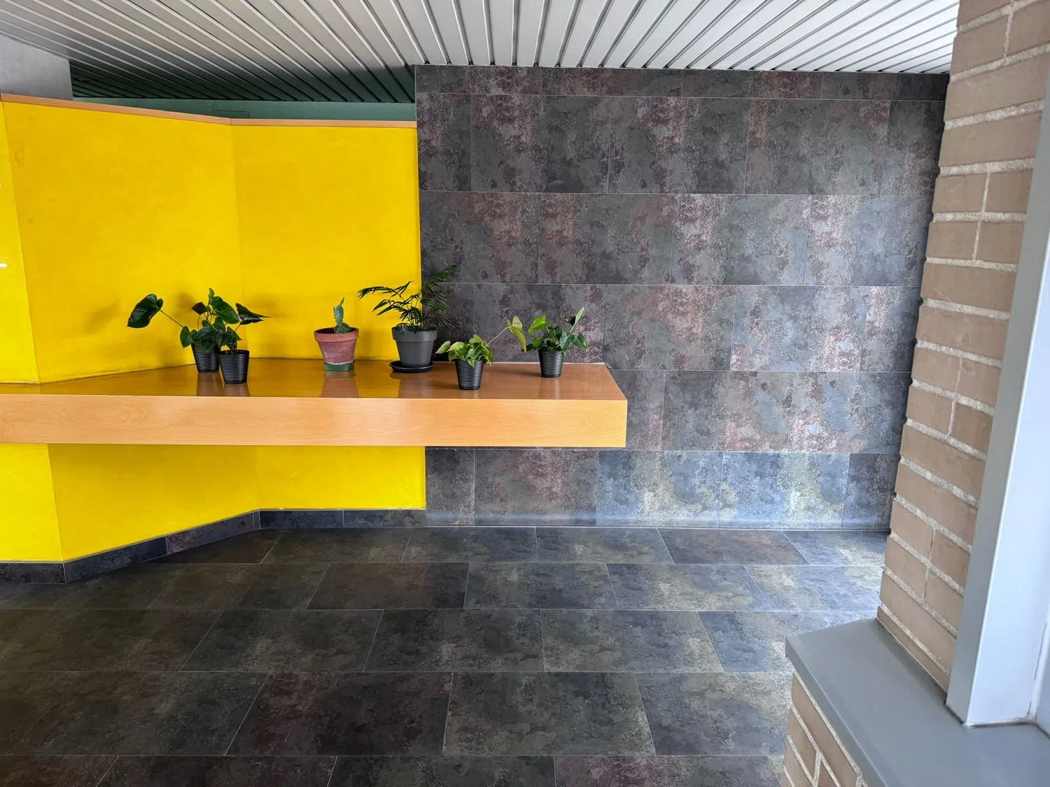 Estudio en paseo de la Tierra de Melide, 42 - Foto 16