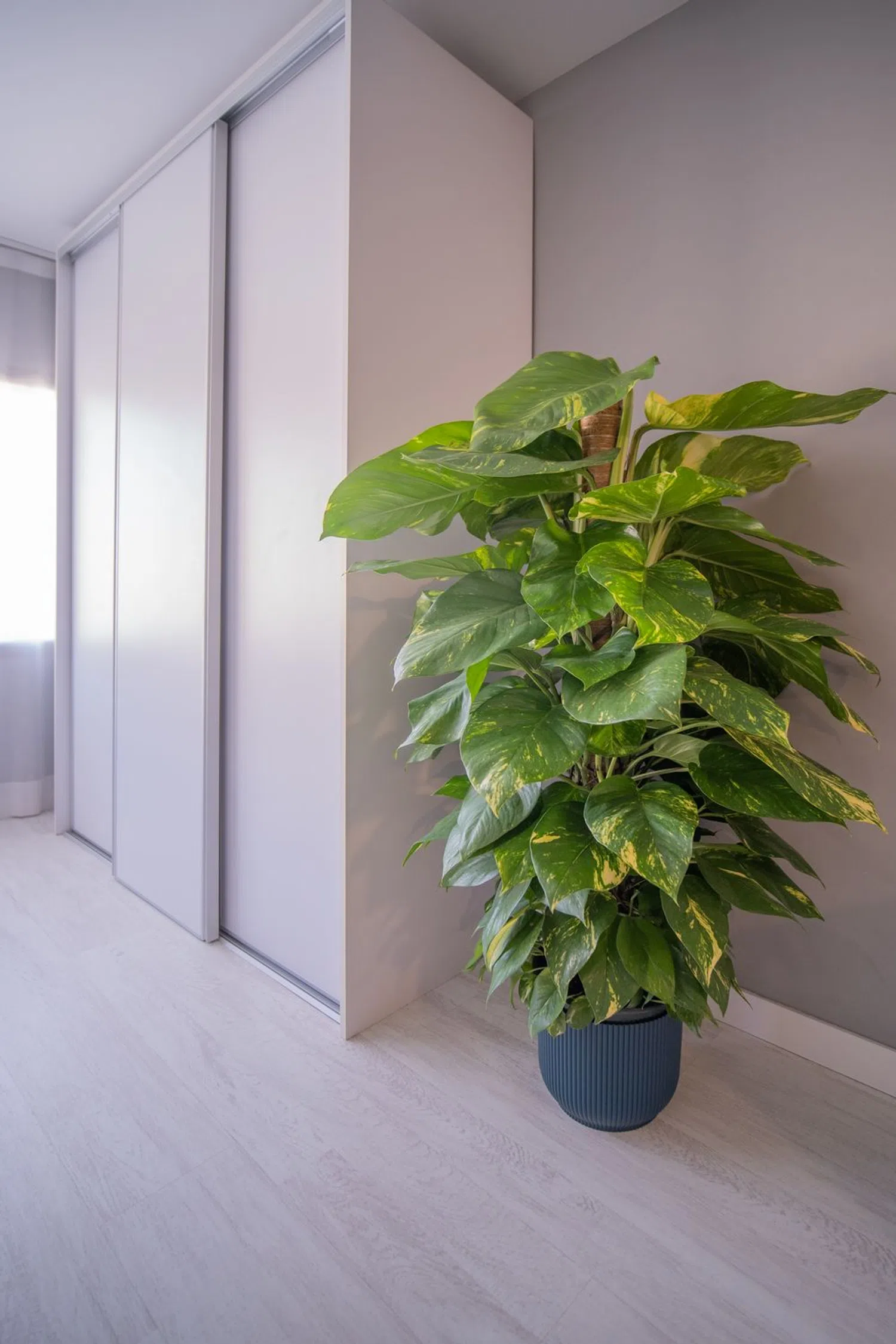 Estudio en calle de Don Juan de Austria, 4 - Foto 6