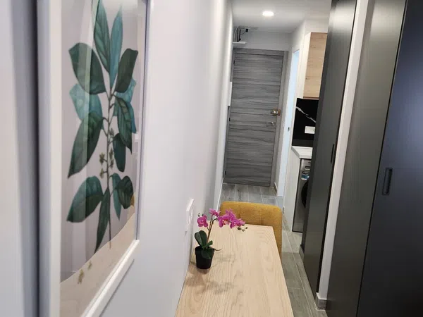 Estudio en Avenida de Blasco Ibáñez, 87, Ciutat Jardí - Foto 18