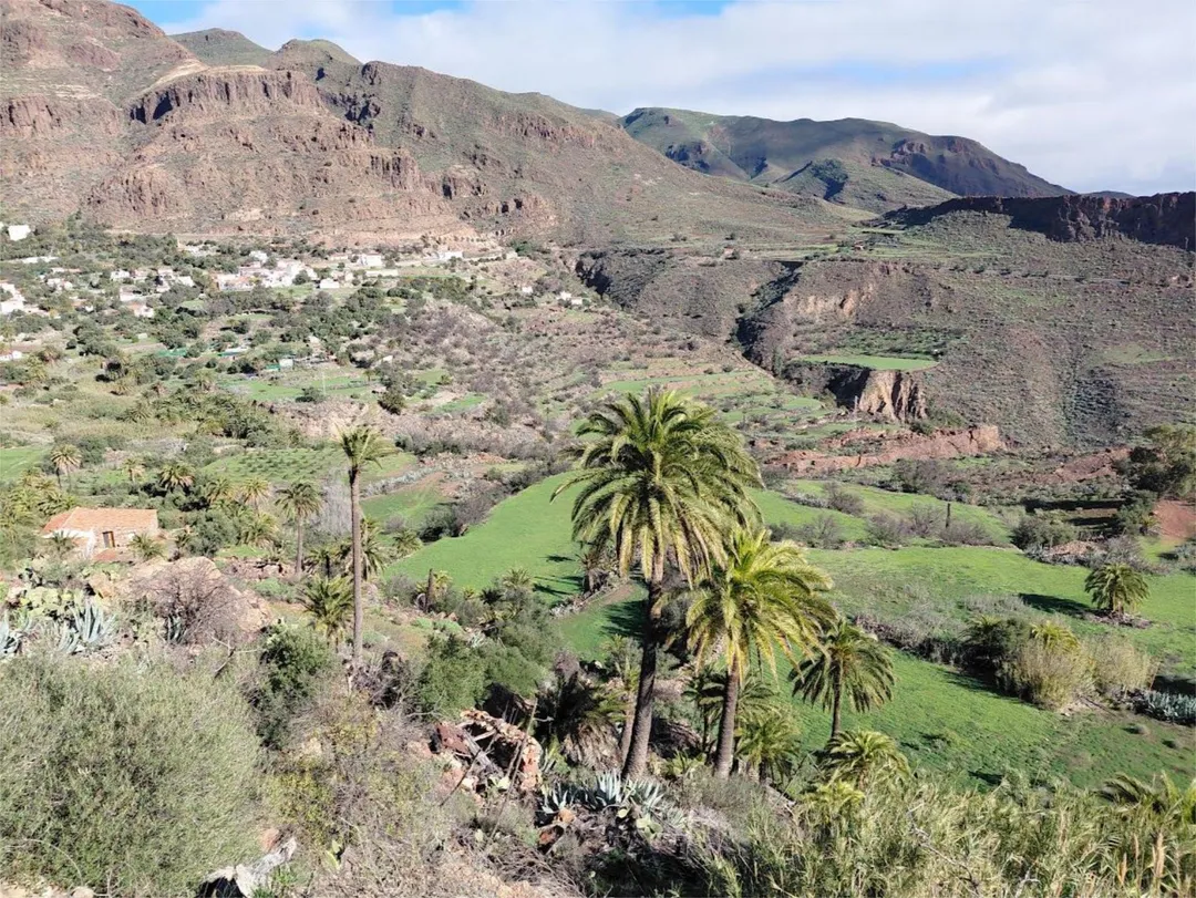 Finca rústica en calle Calle Espíritu Santo 15 - Foto 41