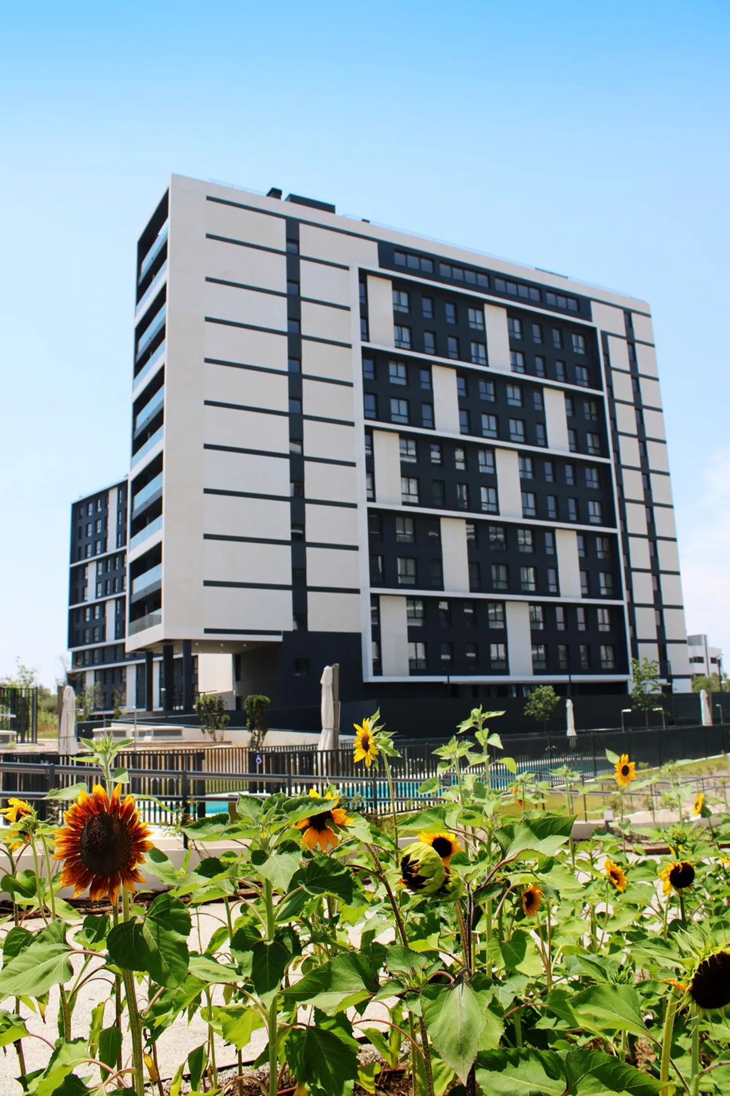 Ático en camino de Montoro - Foto 30