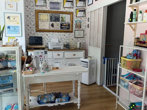 Local en Peluquería en Avenida Alcalde Gregorio Espino, 48, Casablanca - Calvario - Foto 3