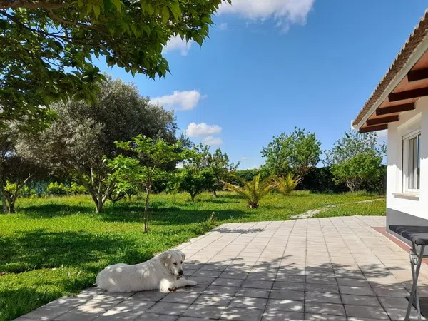 Finca rústica en Avenida Nuestra Señora del Villar s/n - Foto 14