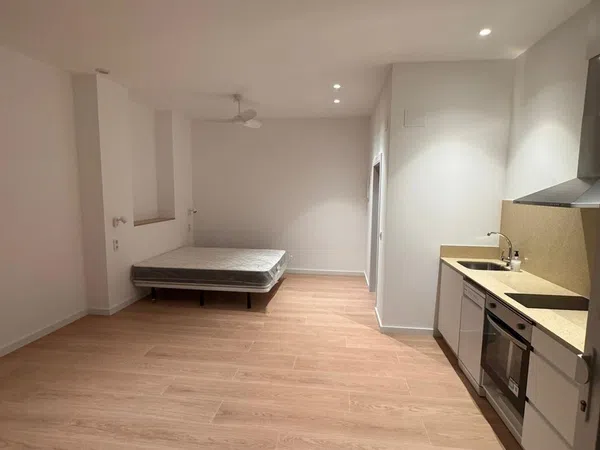 Estudio en calle de Sant Jacint Castanyeda, 22 - Foto 22