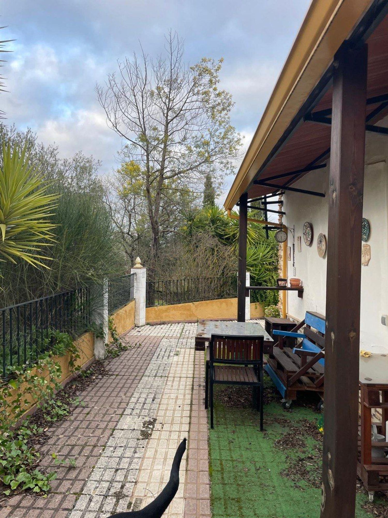 Casa o chalet independiente en Vereda de Cuéllar, 181 - Foto 2