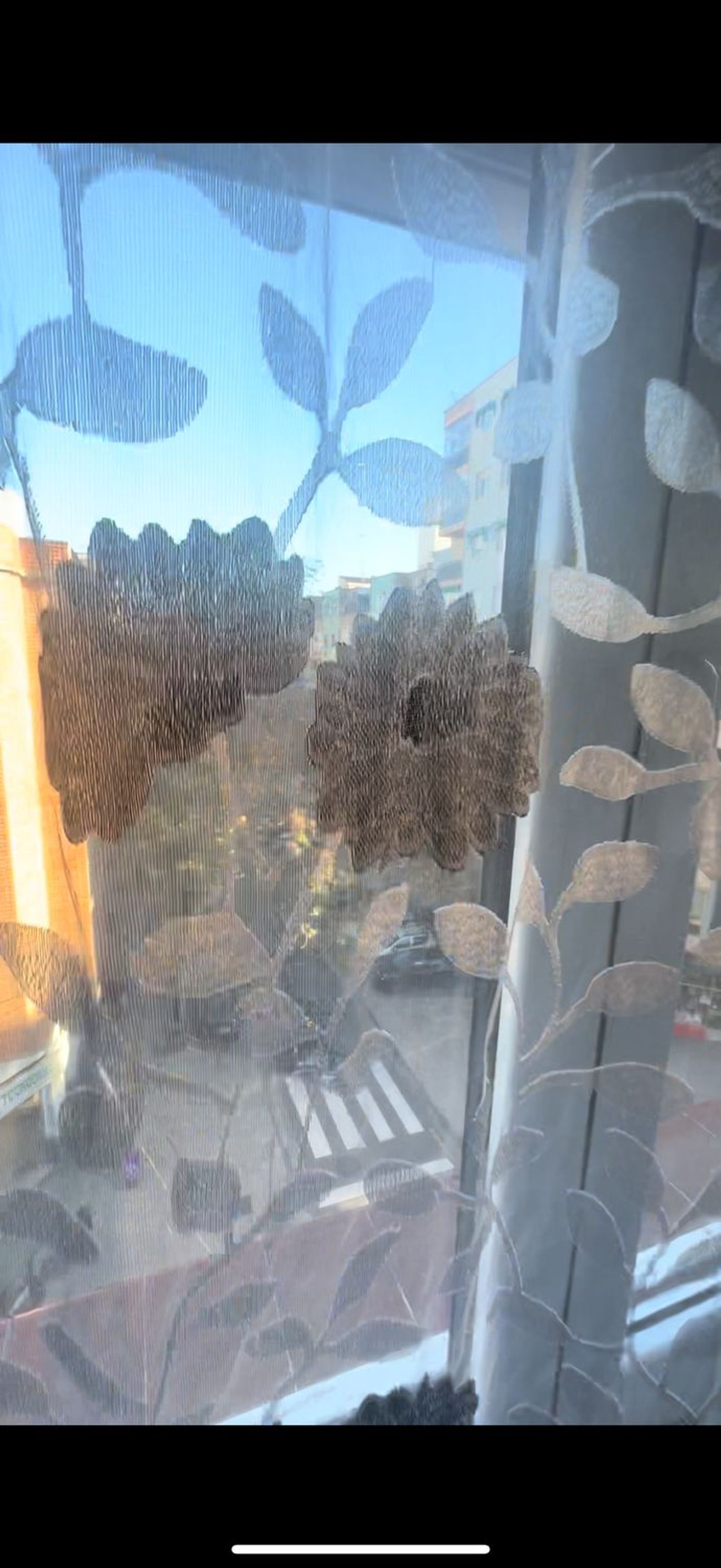 Piso en avenida de San José, 159 - Foto 17