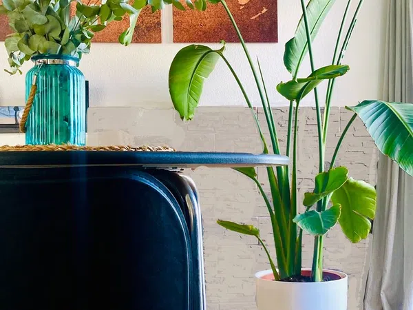 Ático en calle Teulada, 24 - Foto 17