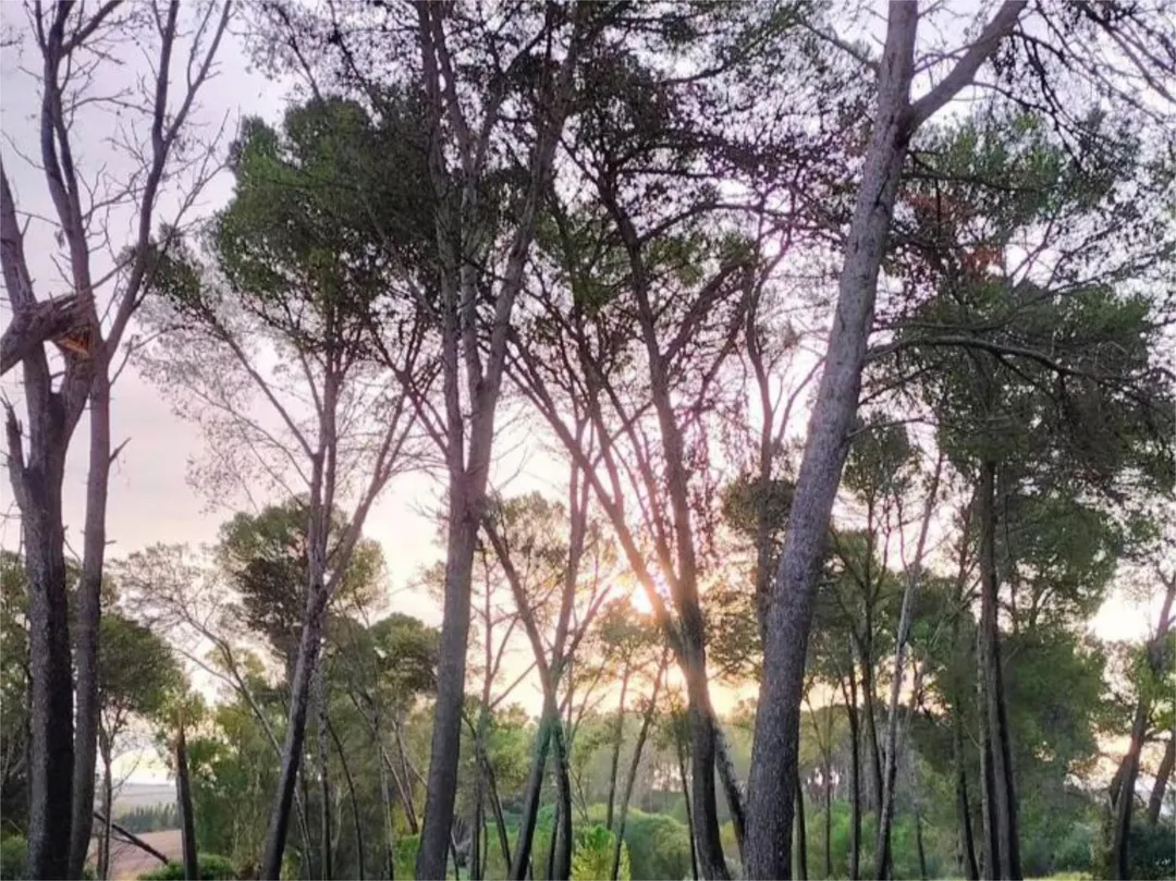 Casa adosada en  Calle de la Hijuela 19 - Foto 38