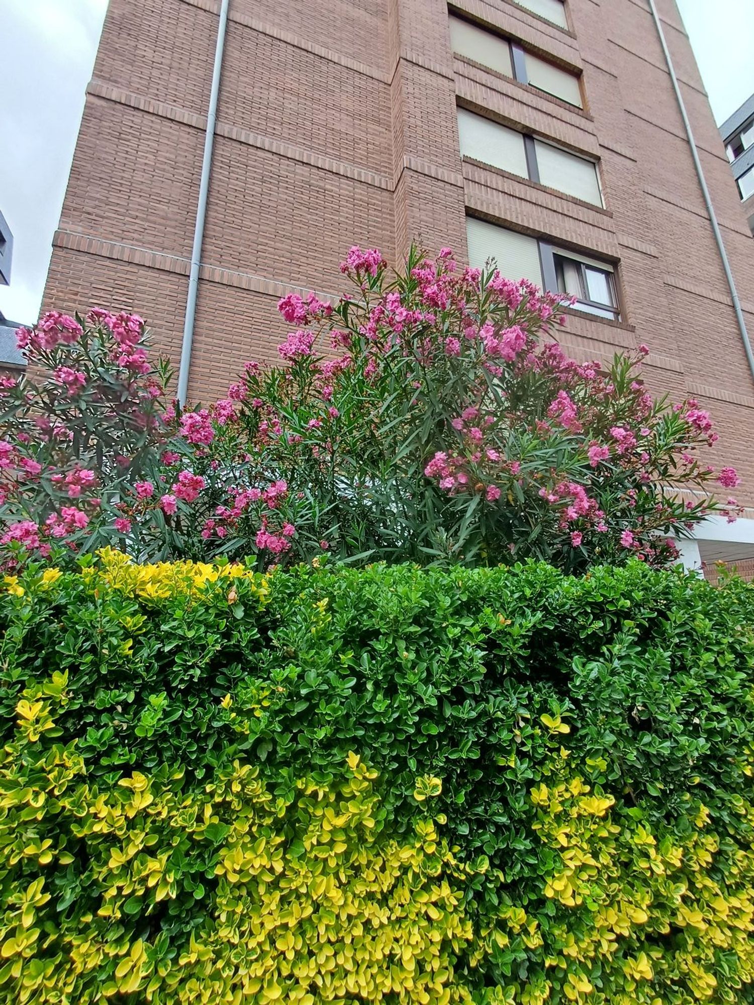 Piso en Santa Ana Etorbidea, 22, Lamiako-Txopoeta, Lamiako-Txopoeta - Foto 4