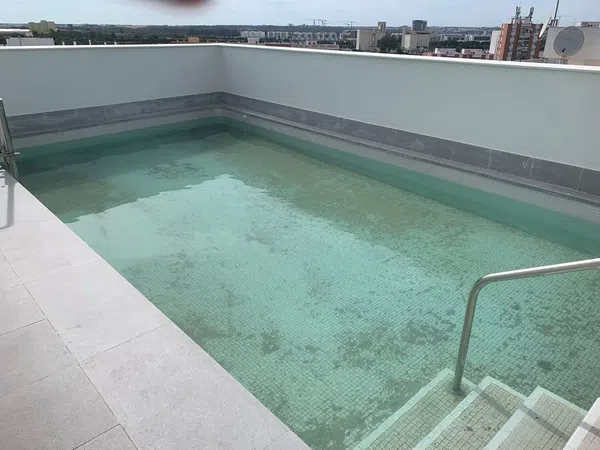 Piso en Avenida de Jerez, 70, Bellavista - Foto 4