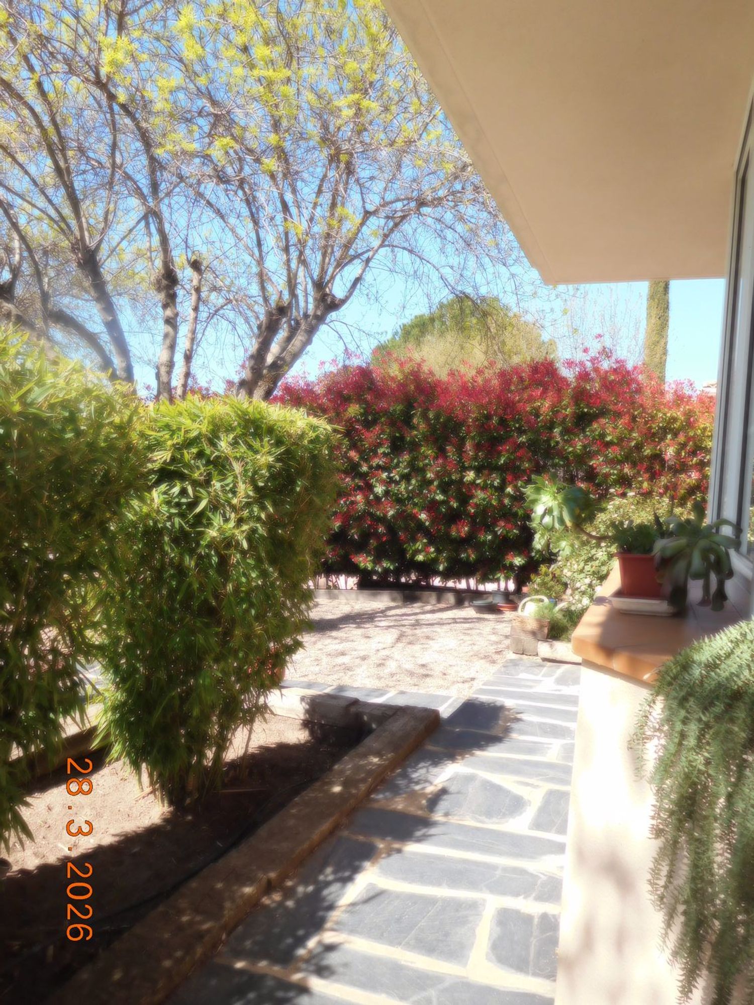 Casa o chalet independiente en Navalquejigo - Los Arroyos, Navalquejigo - Los Arroyos - Foto 4