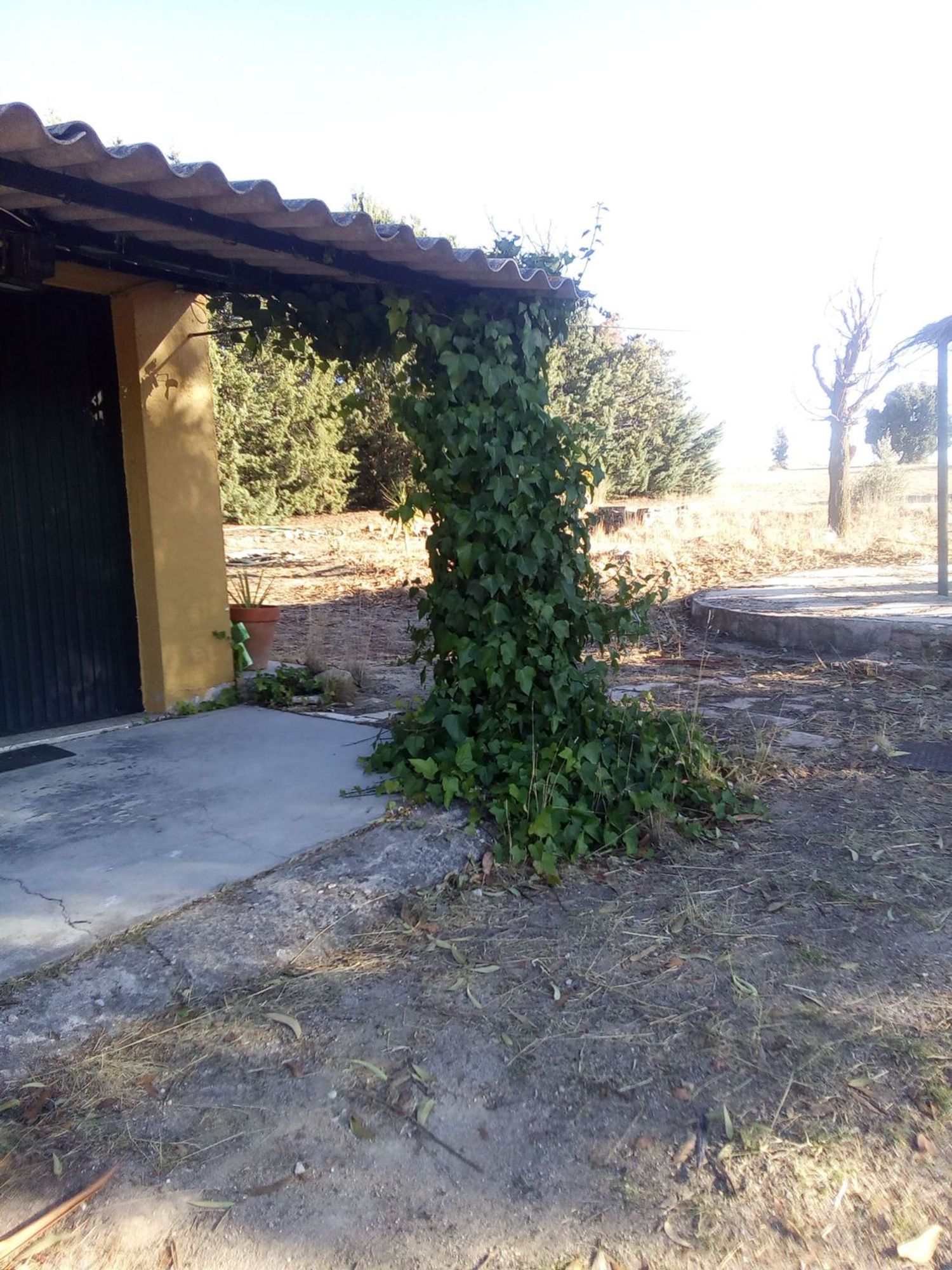 Finca rústica en camino de las laderas, 45 - Foto 10