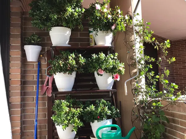 Piso en calle de Nanclares de Oca, 38