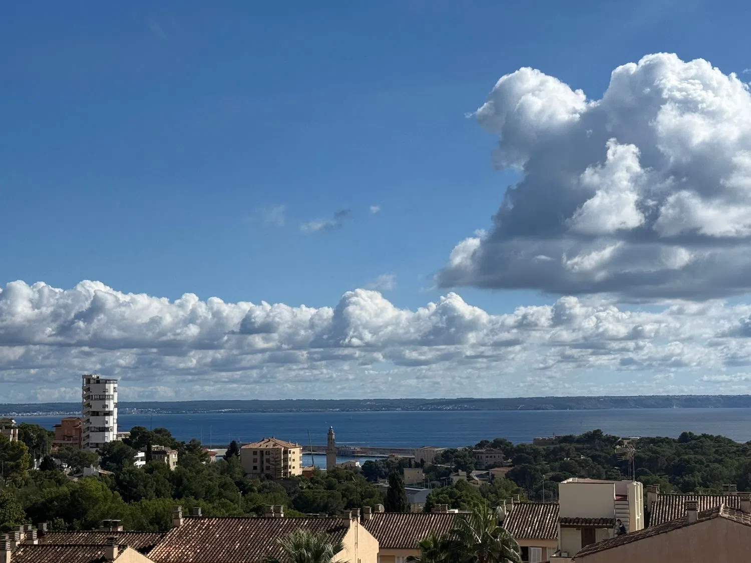 Ático en calle d'Antoni Mus, 7 - Foto 13