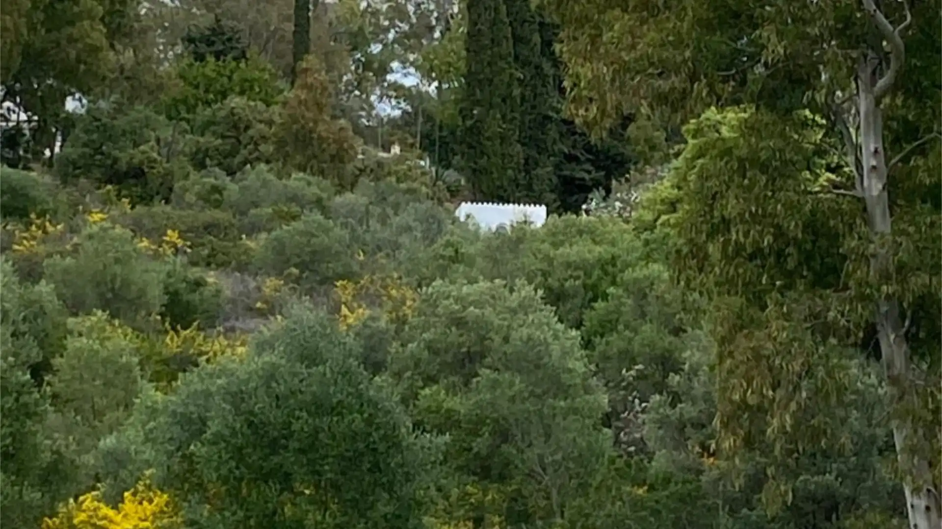 Chalet en  Calle de la Palmera 6 - Foto 36