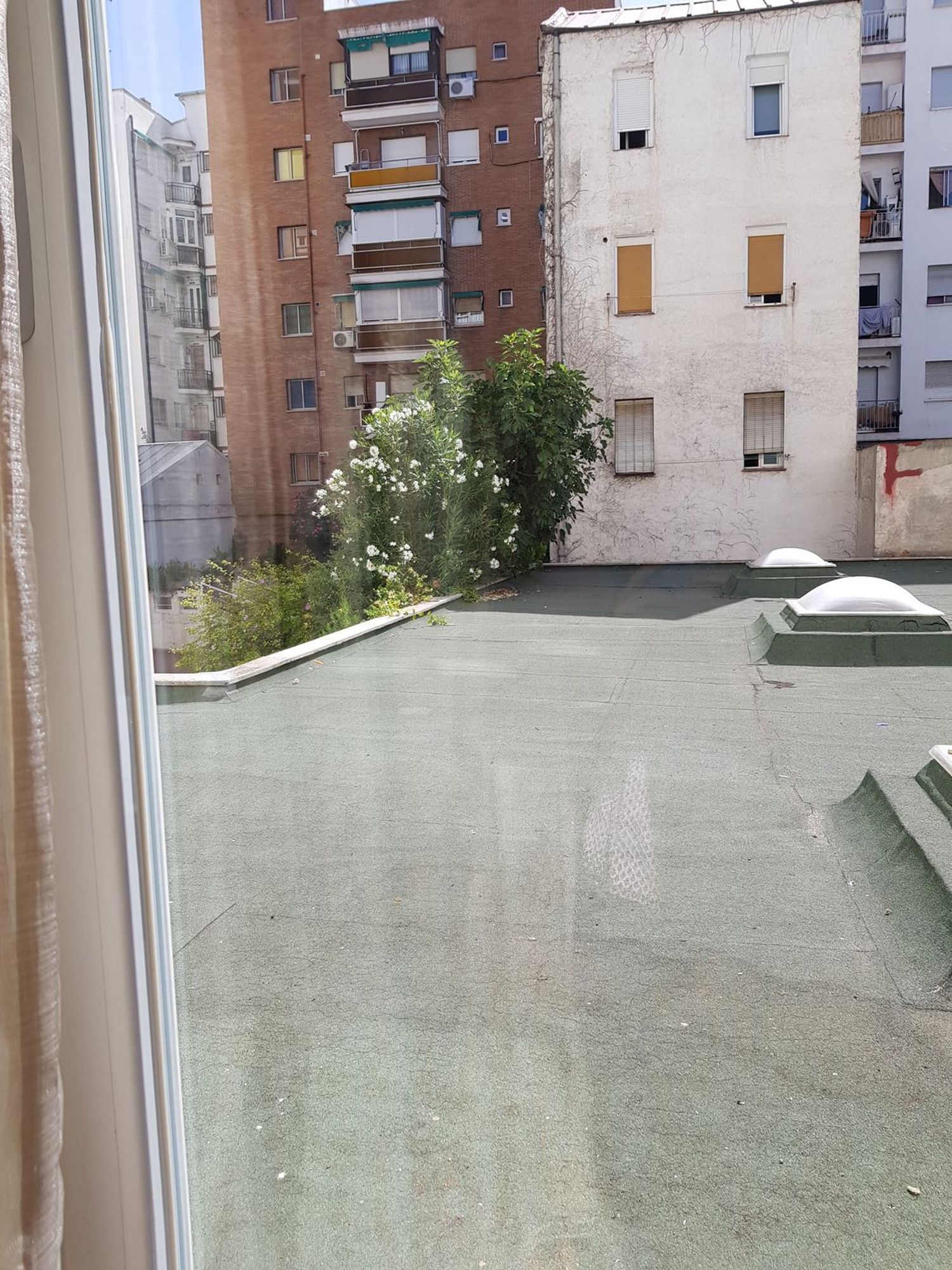 Piso en Calle de Linneo, 3, Imperial - Foto 4