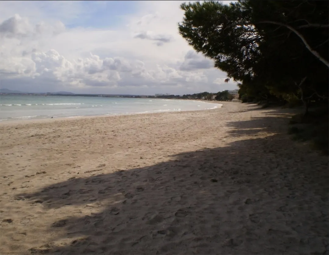 Piso en  Carrer de la Punta 28 - Foto 3