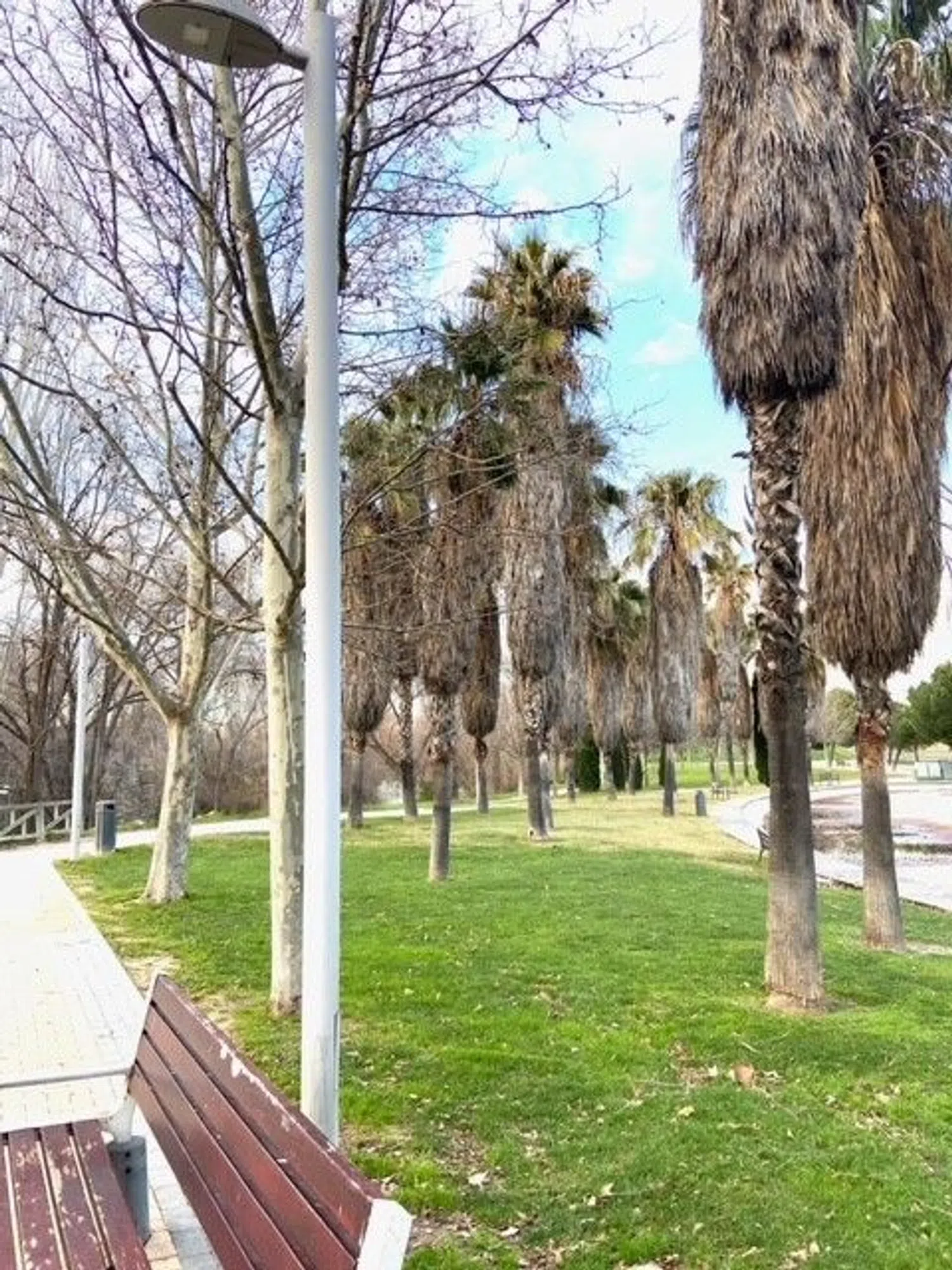 Piso en Barrio San Fermín - Foto 20