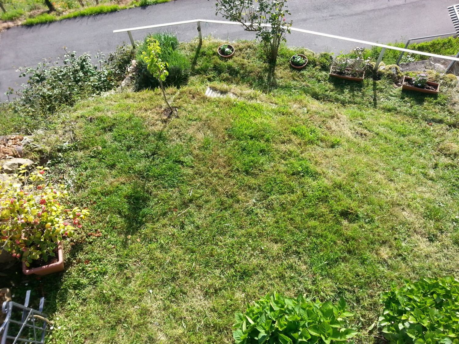 Casa independiente en La Matina, 1 - Foto 7