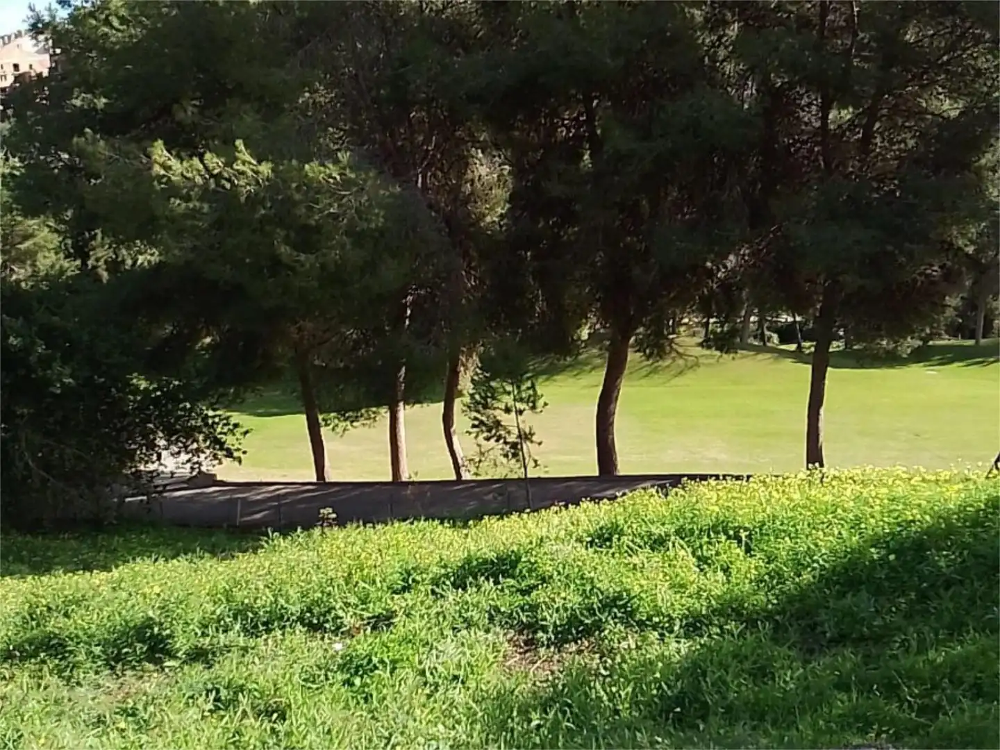 Terreno Residencial en  Paseo del Golf 4 - Foto 7