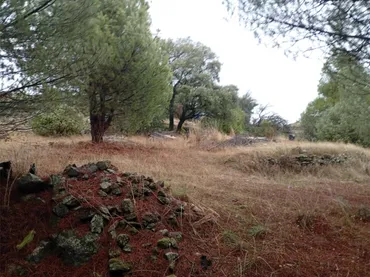 Finca rústica en  Calle Alipio García León 37A - Foto 4
