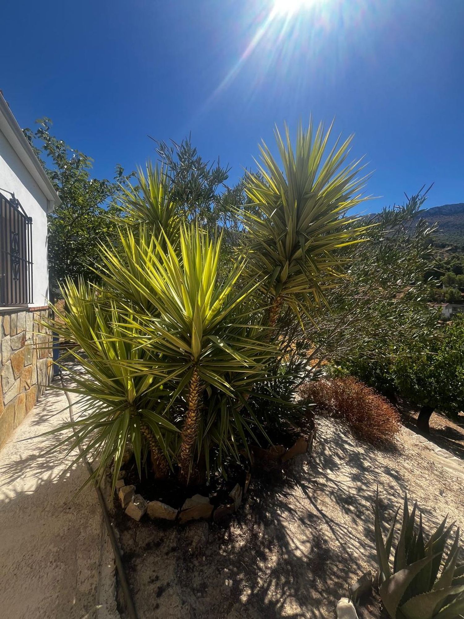 Casa o chalet independiente en Puerto s/n, Puente Jontoya - Puente de la Sierra - El Arroyo, Puente Jontoya - Puente de la Sierra - El Arroyo - Foto 3