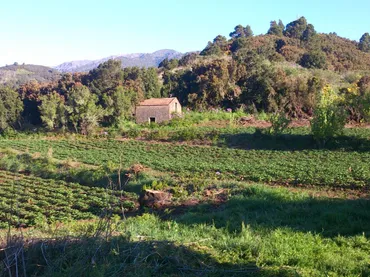 Finca rústica en  Carretera 2A - Foto 3
