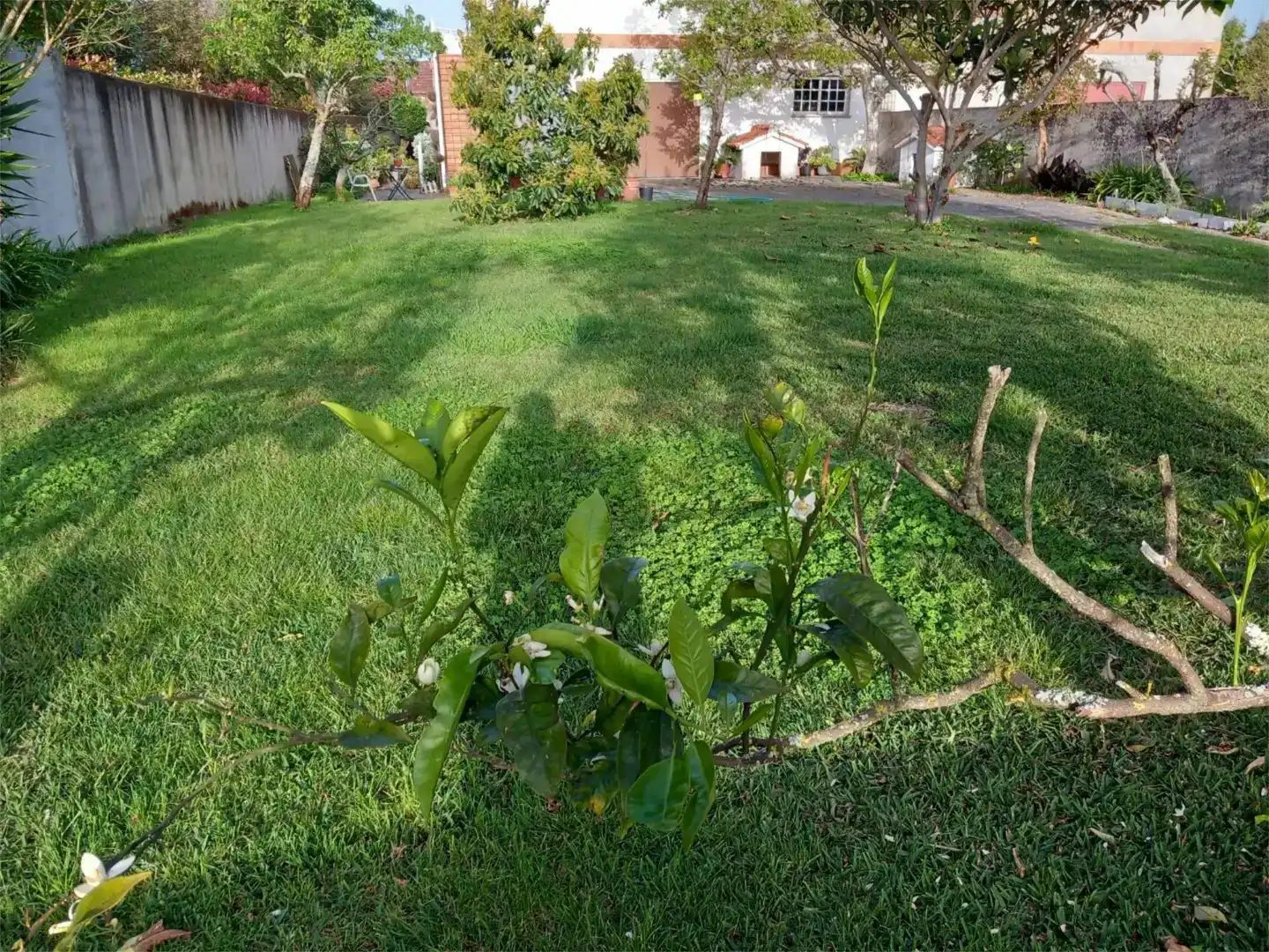 Piso en Nigrán - Foto 23