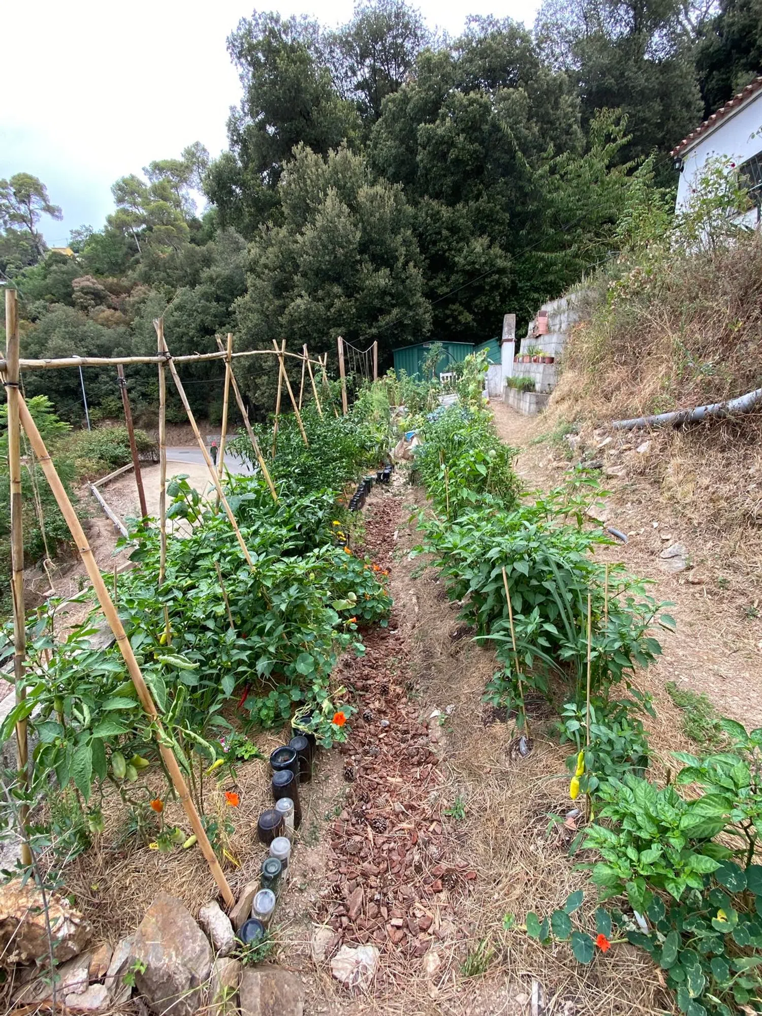 Casa independiente en calle Lila, 16 - Foto 21
