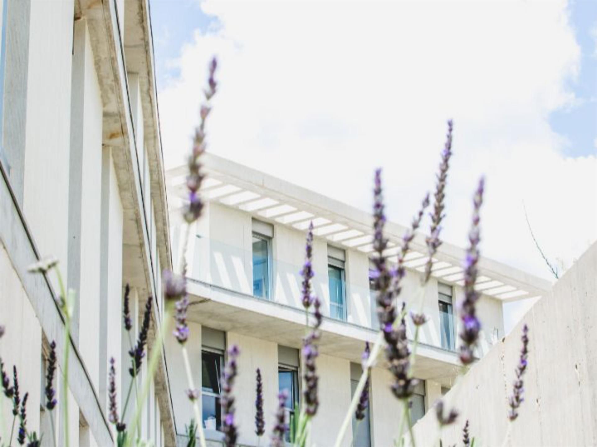 Piso en  Calle Copa Ryder 22 - Foto 36