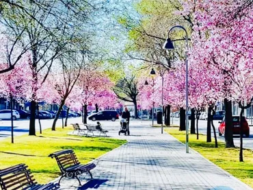 Piso en  Avenida de Antonio López 18 - Foto 14