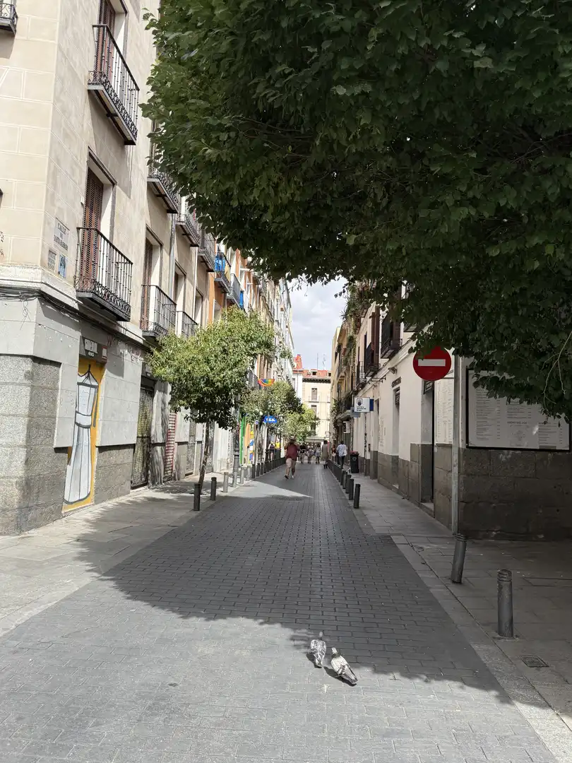 Piso en  Calle de la Madera 42 - Foto 29