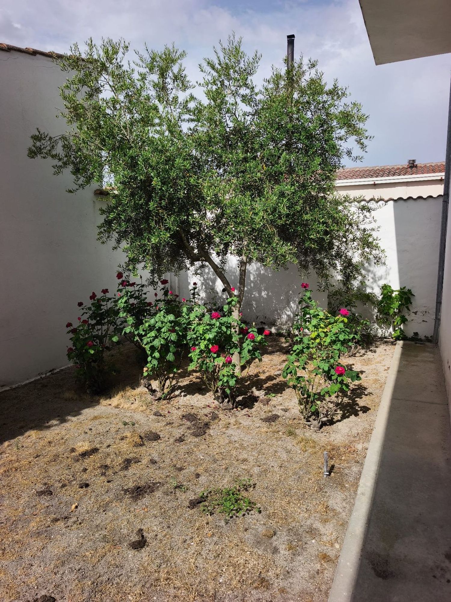 Casa de pueblo en Calle Cantarranas, 10 - Foto 32