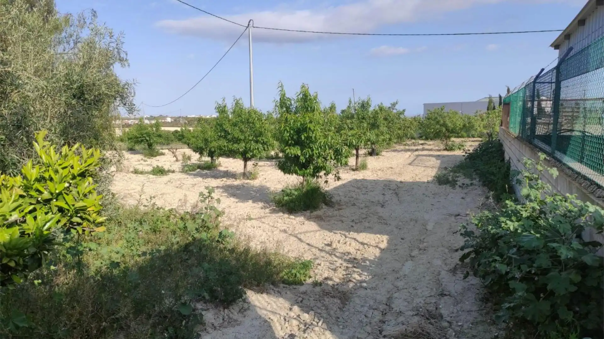 Finca rústica en  Diseminado Urreas 11 - Foto 40