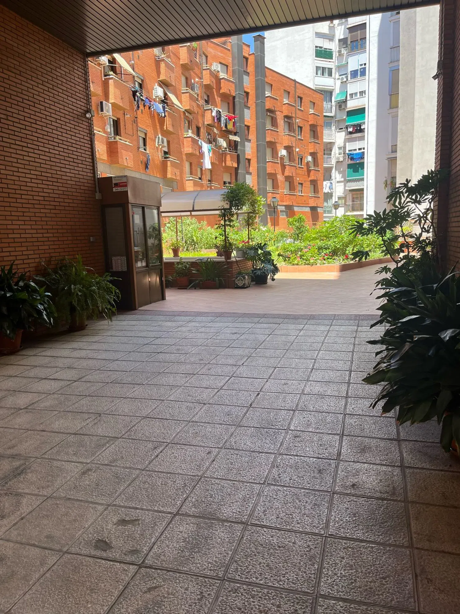Estudio en calle Lola de Membrives, 13 - Foto 5