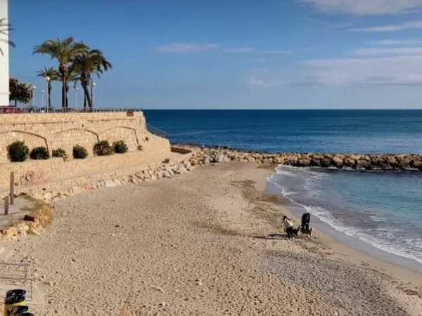 Piso en Ramón y Cajal, 50, L'Ametlla de Mar - Foto 14