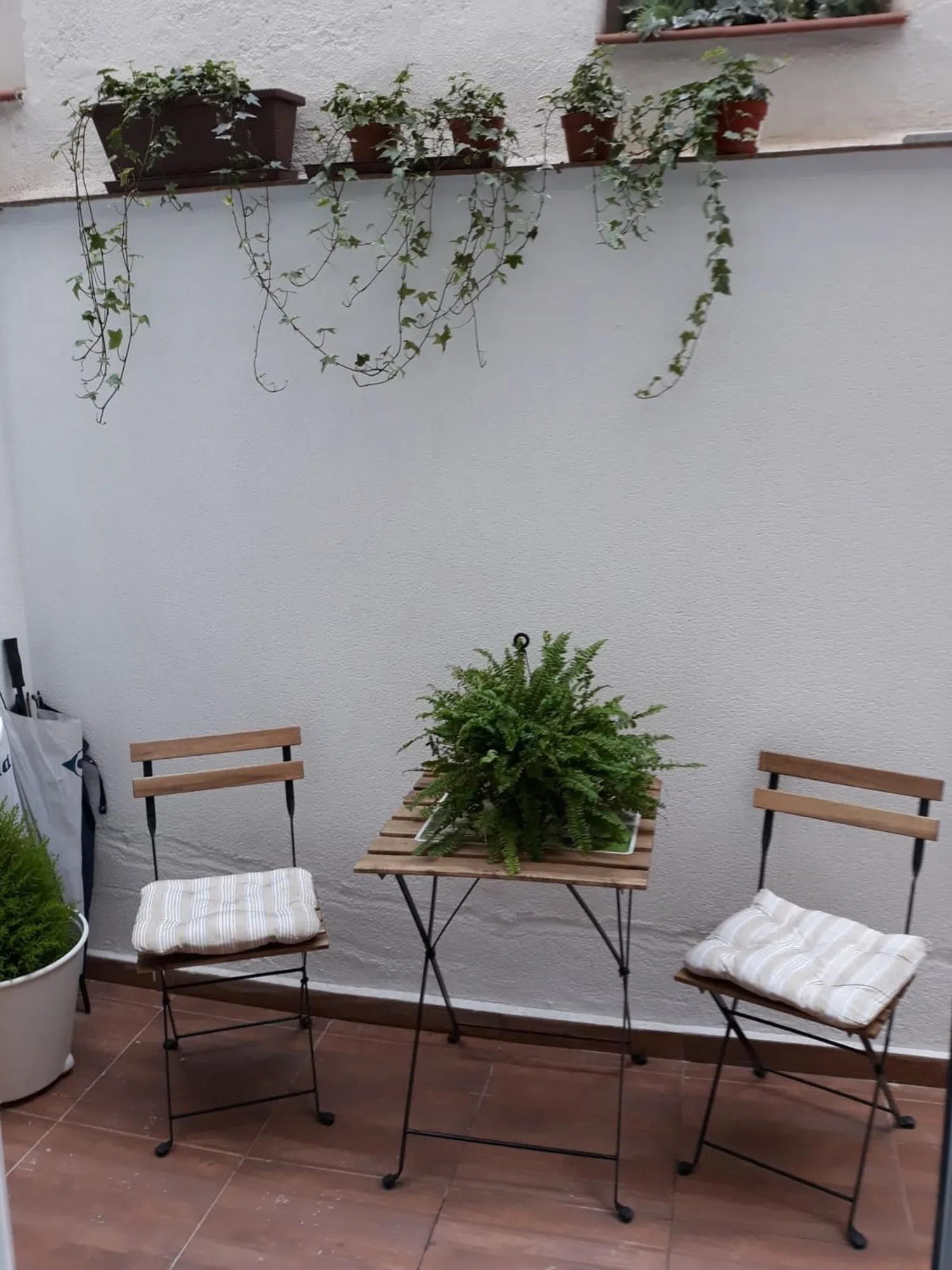 Piso en calle Arriaza, 8 - Foto 1