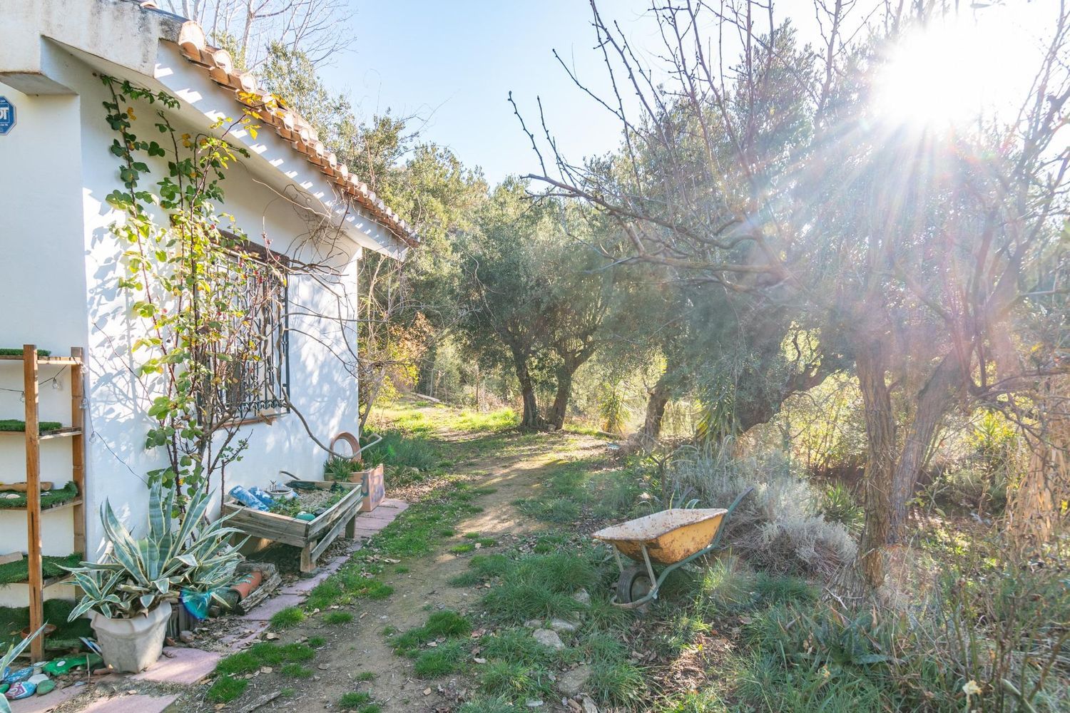 Cortijo en Solana s/n - Foto 17