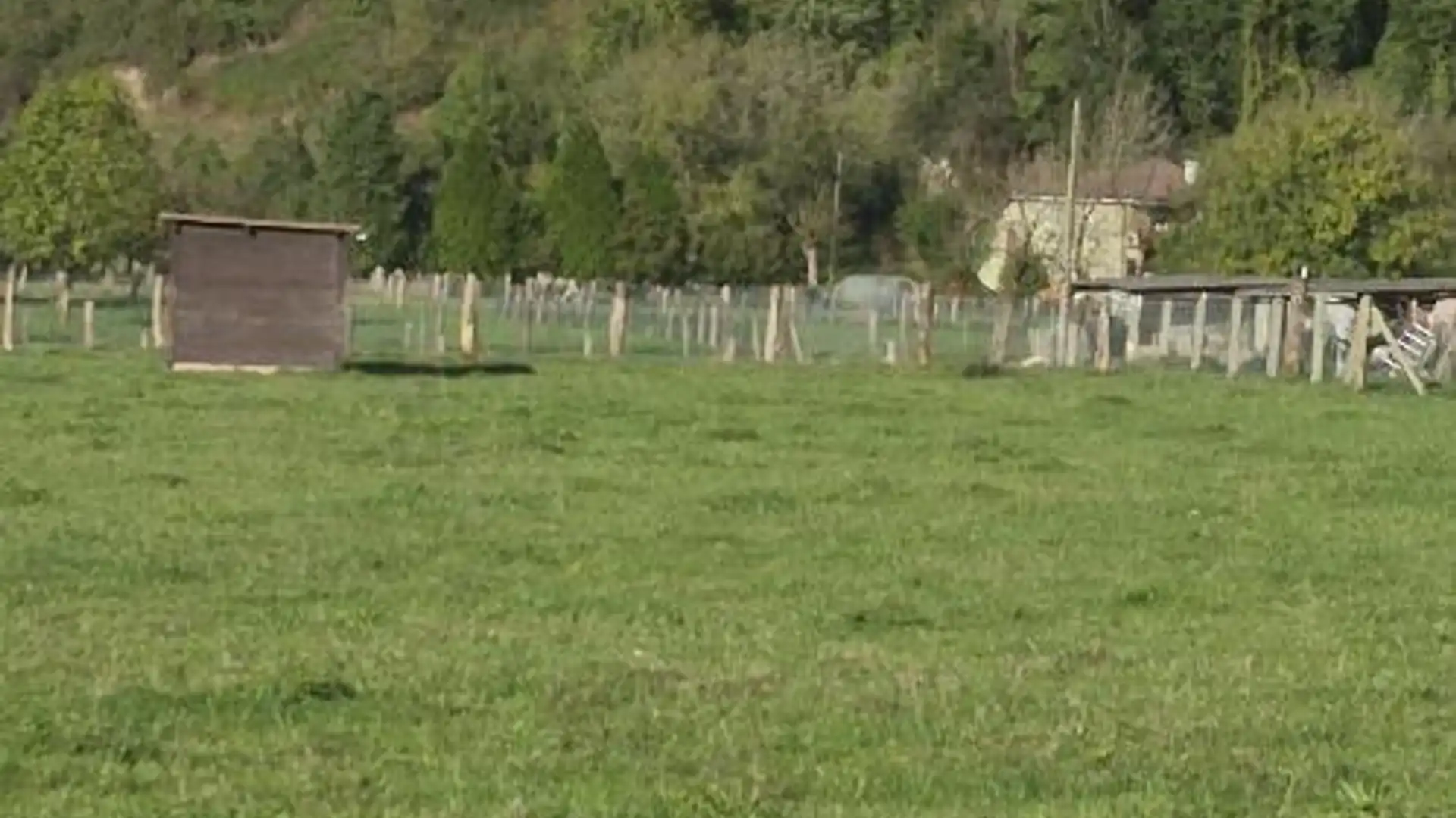 Finca rústica en  Lugar Godos 9 - Foto 4