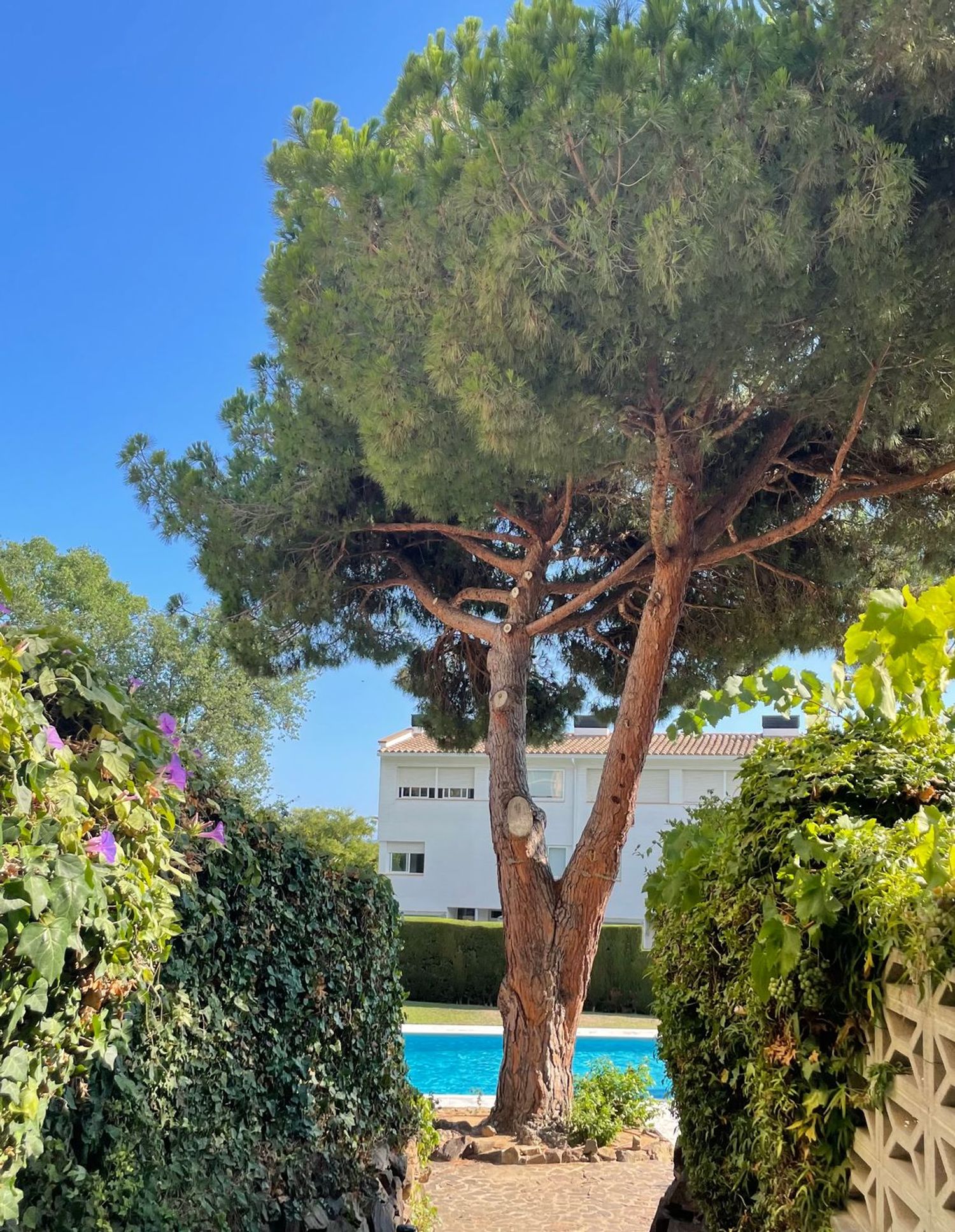 Piso en Calle Tramuntana, 60, S'Agaró, S'Agaró - Foto 10