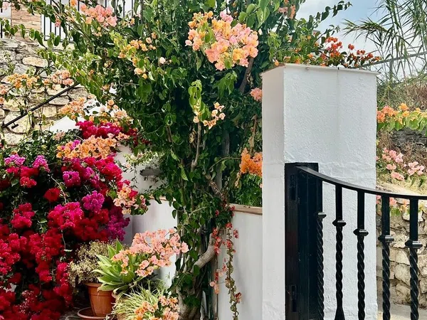 Cortijo en Cortijo en Haza Mora s/n - Foto 24