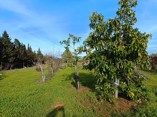 Finca rústica en camino Vell de Cala Pi, 1 - Foto 15