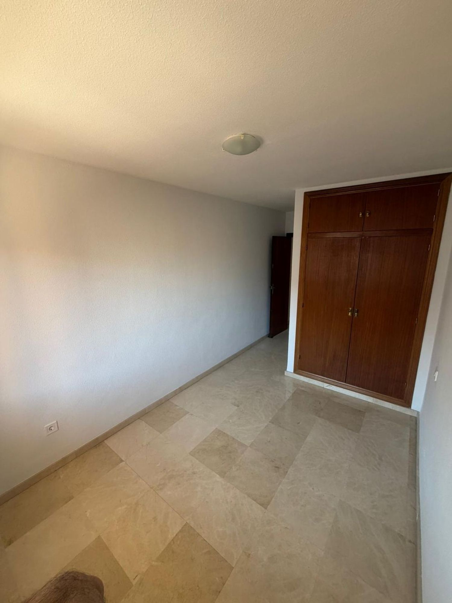 Piso en avenida Oscar Espla, 23 - Foto 13