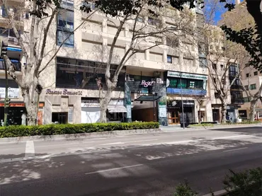 Local comercial en  Avenida Ricardo Soriano 20 - Foto 8