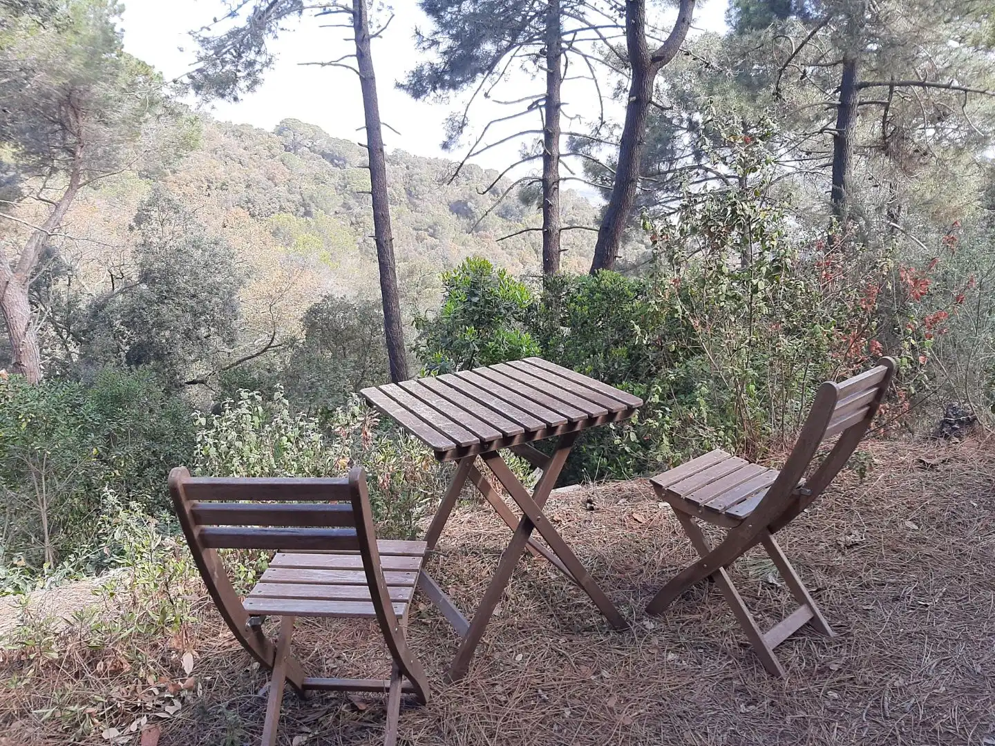 Chalet en  Carrer del Colom 23 - Foto 27