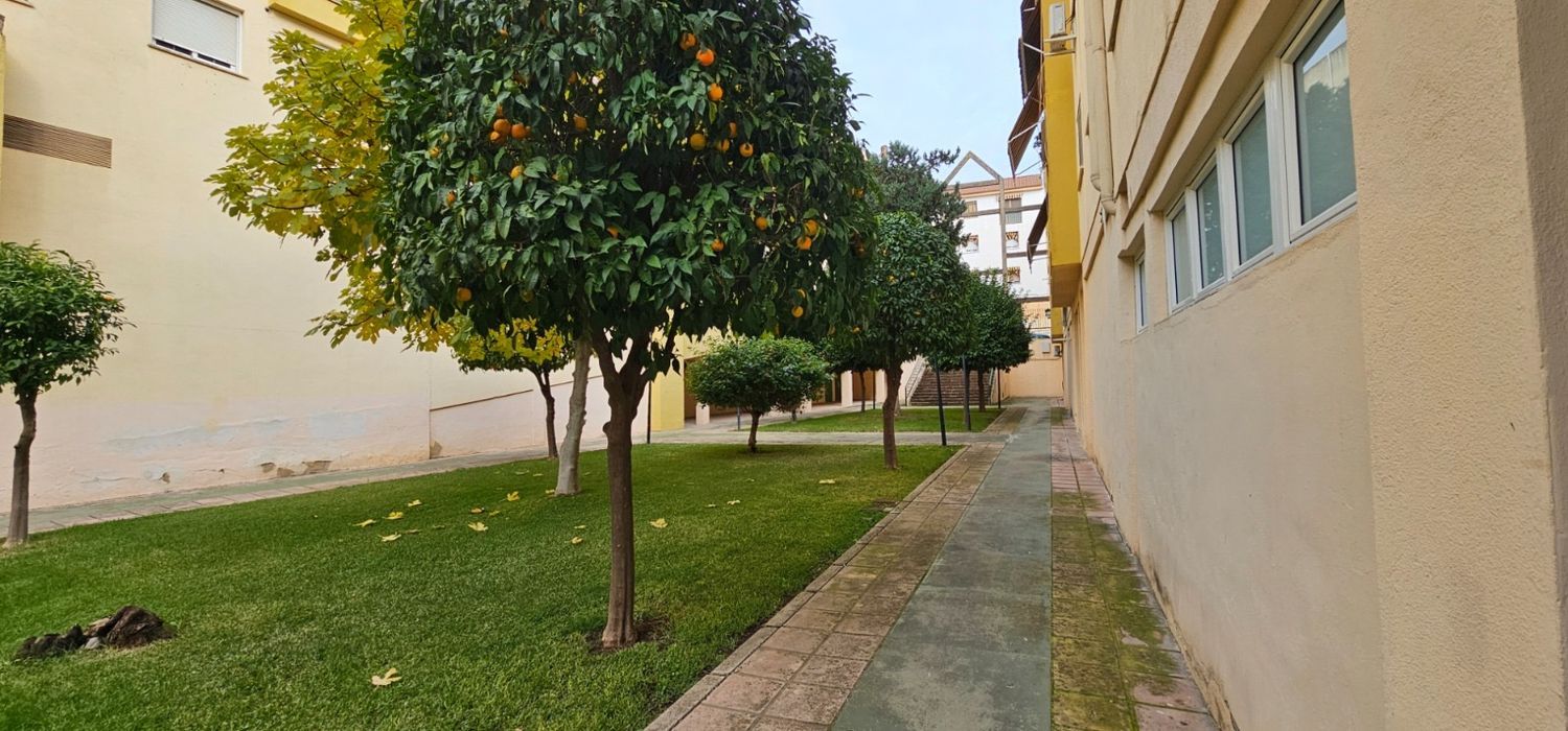 Estudio en Calle San Juan de la Cruz, 11, San Cayetano - Foto 3