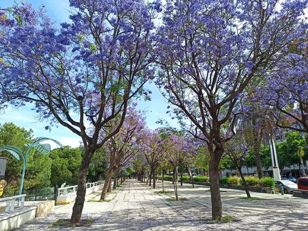 Piso en Plaza de la Gavidia-San Lorenzo - Foto 24