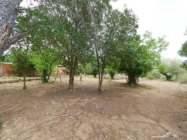 Casa rural en Avenida Catalunya, 20 - Foto 6