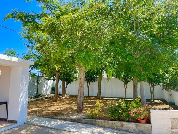 Casa o chalet independiente en Camino las Quintas, 39, Barrio Nuevo, Barrio Nuevo - Foto 19