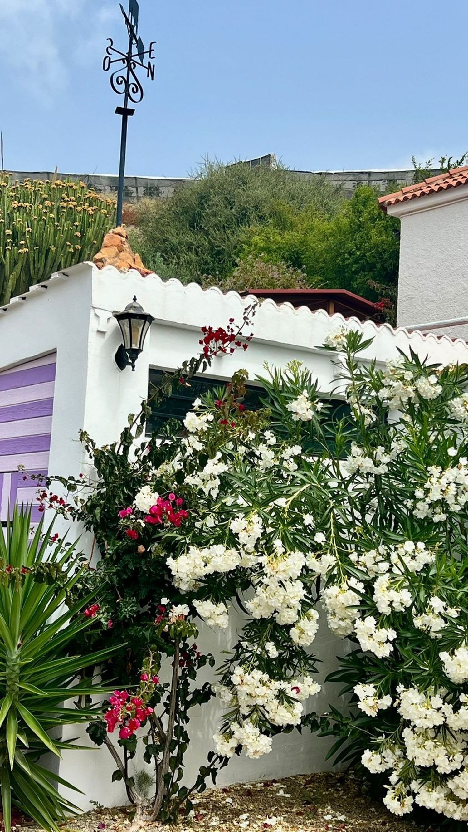 Cortijo en Cortijo en Haza Mora s/n - Foto 26